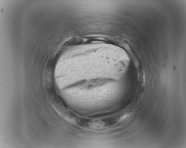 X0000053150215200508012318