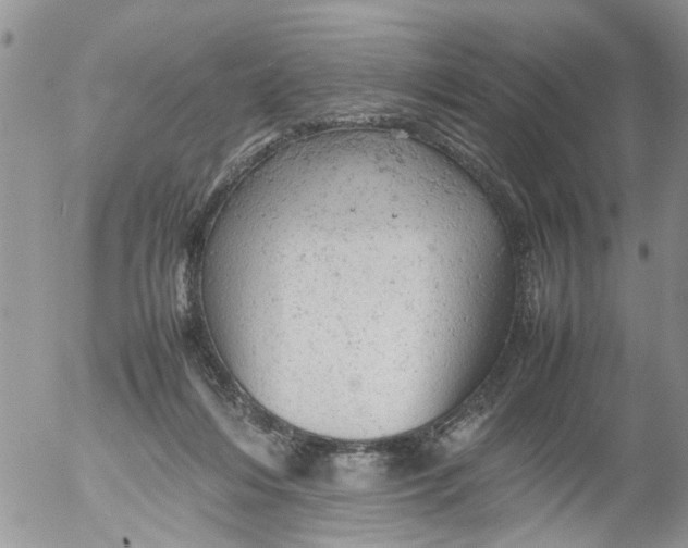 X0000053150216200508012318