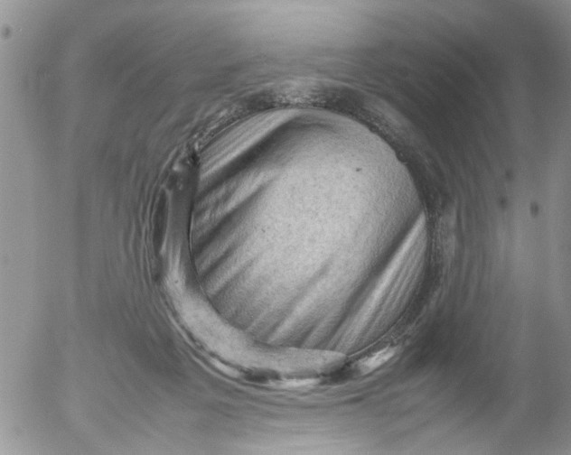 X0000053150217200508012318