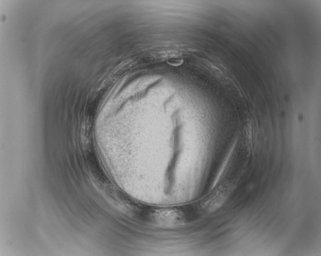 X0000053150218200508012318