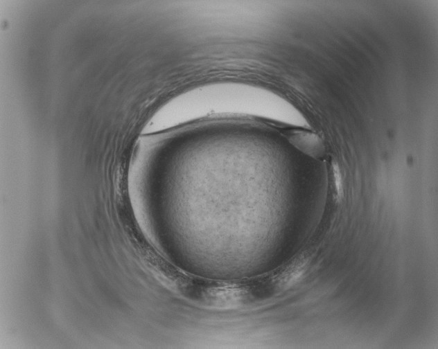 X0000053150219200508012318