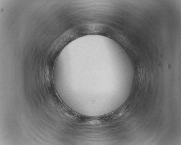 X0000053150220200508012318