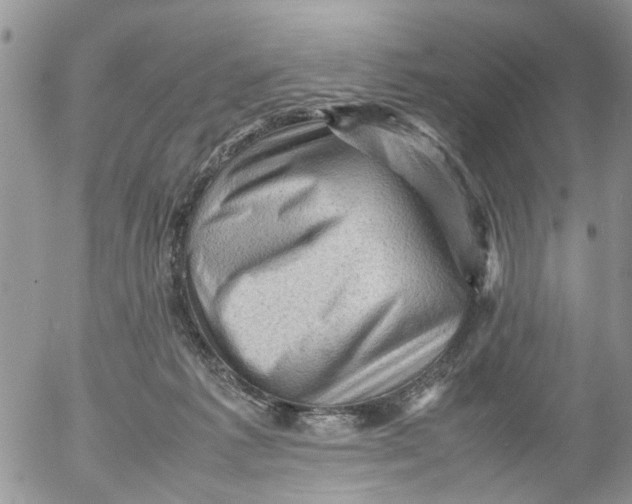 X0000053150221200508012318