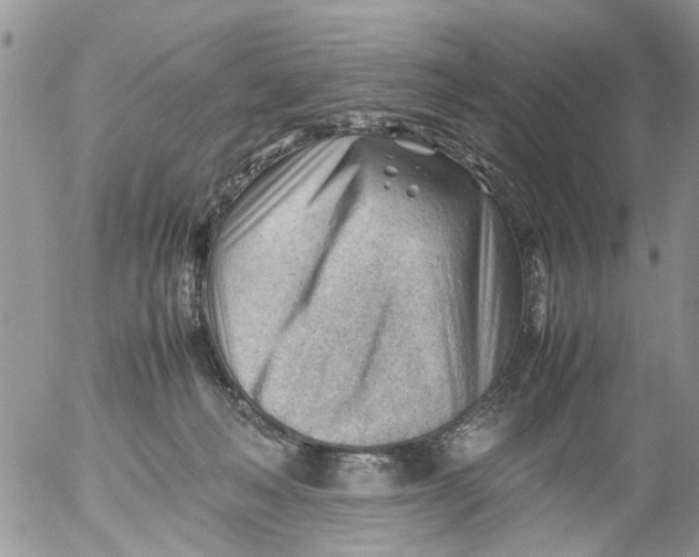 X0000053150222200508012318