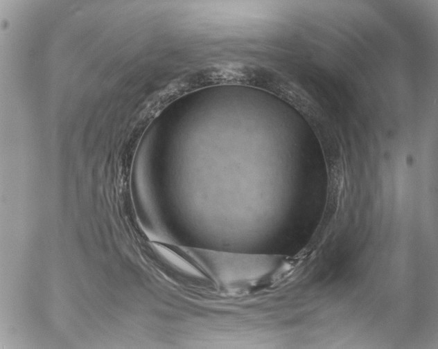 X0000053150223200508012318