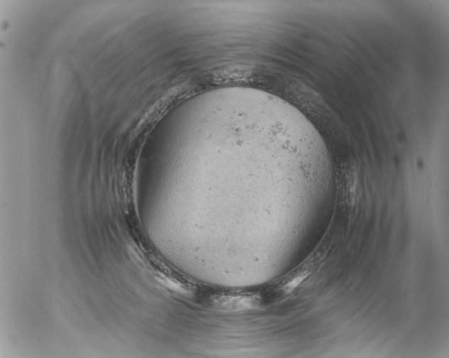 X0000053150224200508012318