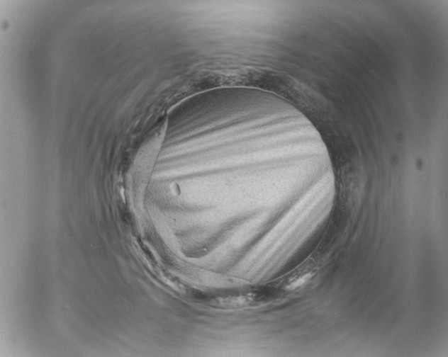 X0000053150225200508012318