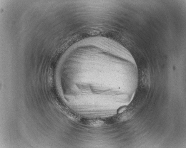 X0000053150226200508012318