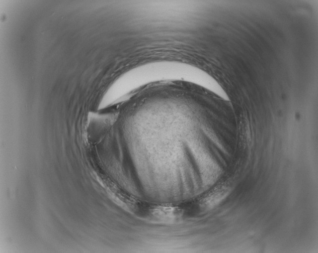 X0000053150227200508012318