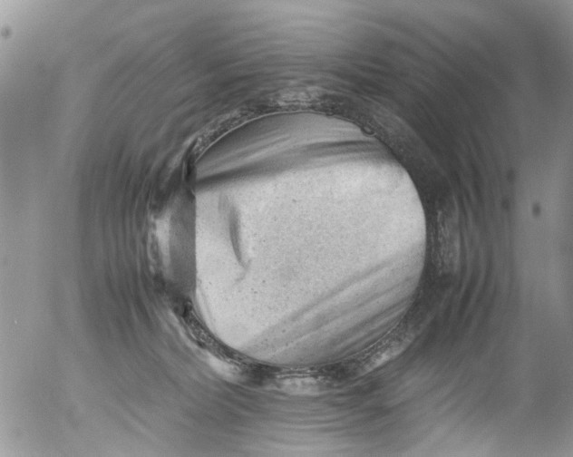 X0000053150228200508012318