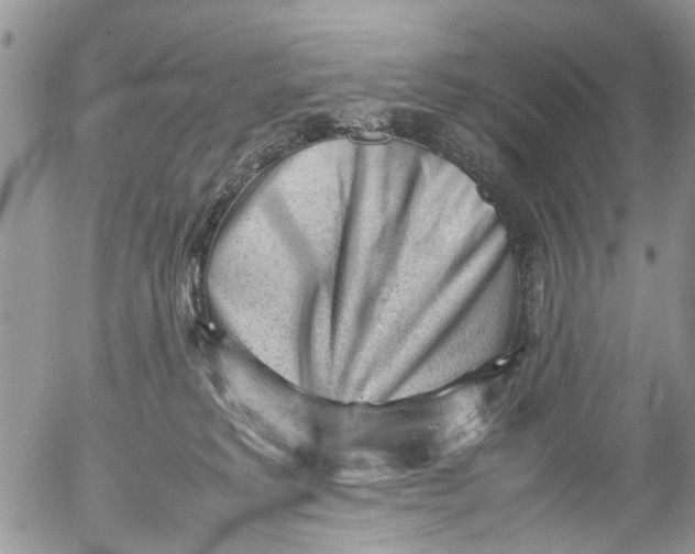 X0000053150229200508012318