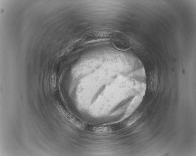 X0000053150230200508012318