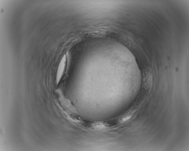 X0000053150231200508012318