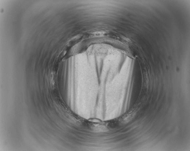 X0000053150232200508012318