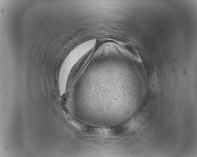 X0000053150233200508012318