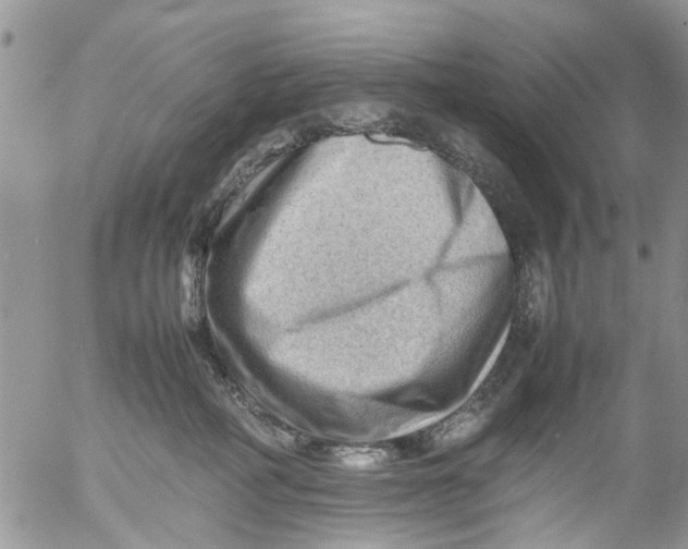 X0000053150234200508012318