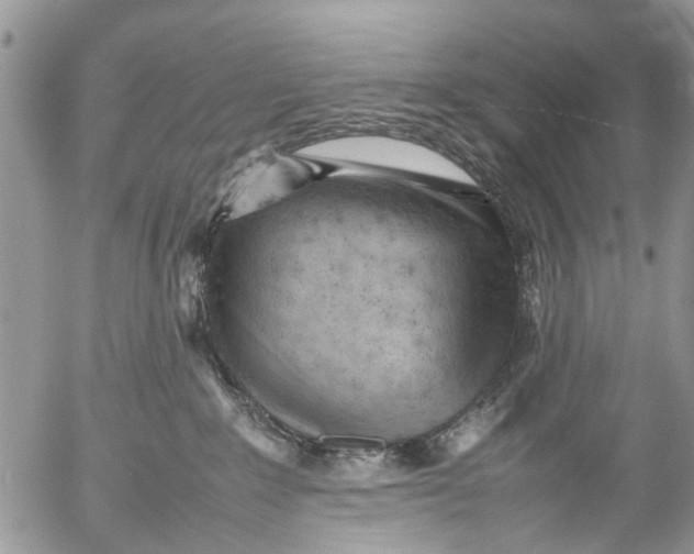 X0000053150235200508012318