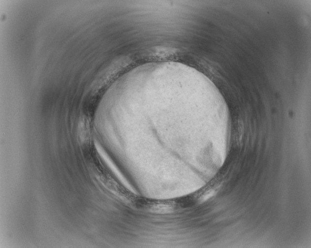 X0000053150236200508012318