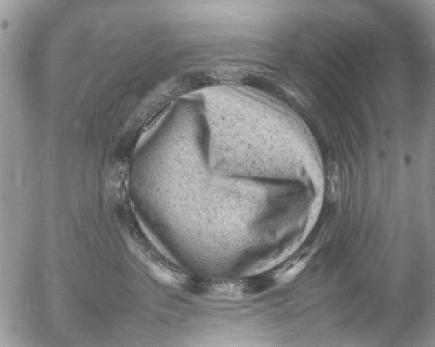 X0000053150237200508012318