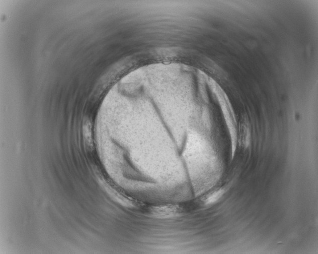 X0000053150238200508012318