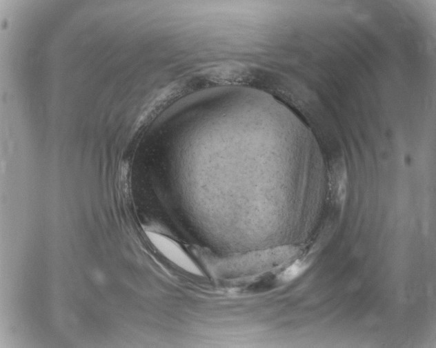 X0000053150239200508012318