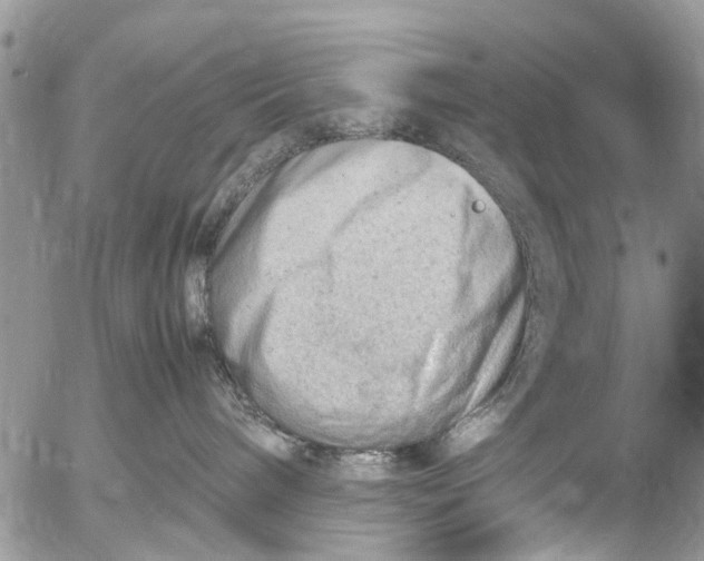 X0000053150240200508012318