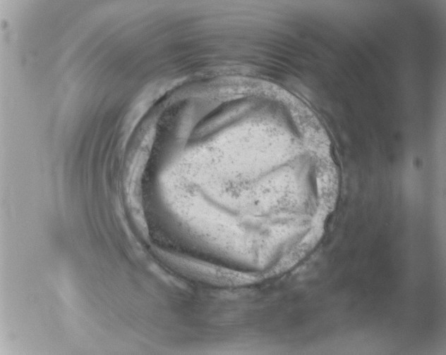 X0000053150241200508012317