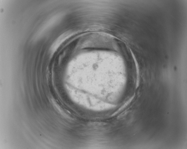 X0000053150242200508012317