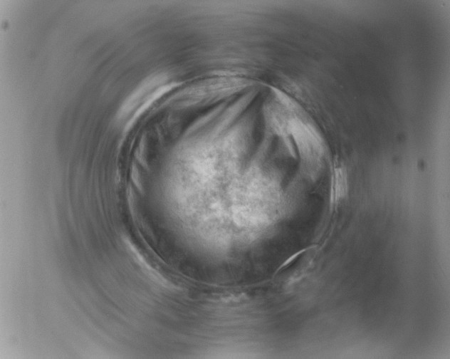 X0000053150243200508012317