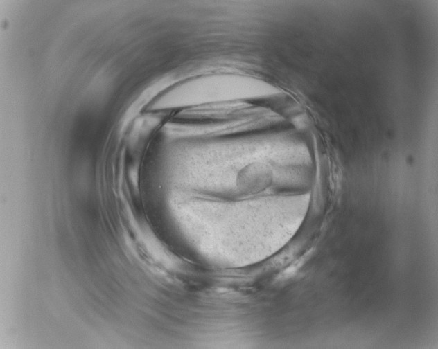 X0000053150244200508012317