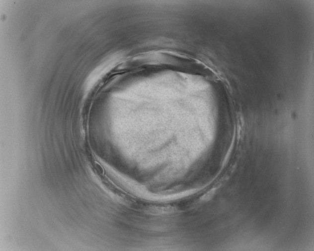 X0000053150245200508012317