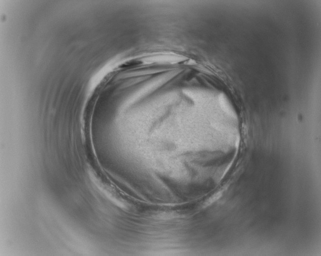 X0000053150246200508012317