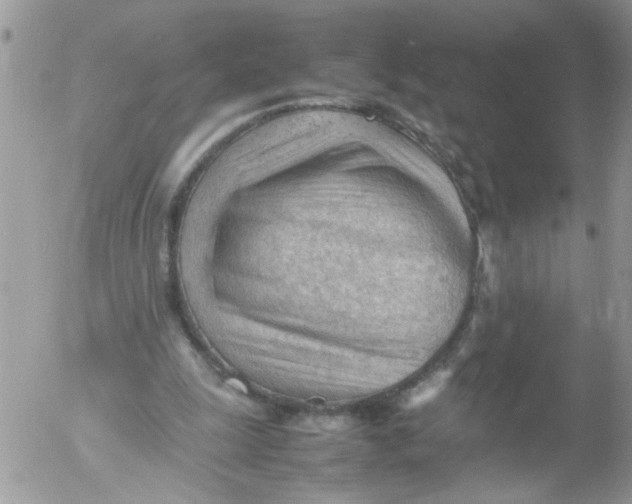 X0000053150247200508012317