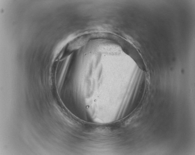 X0000053150248200508012317