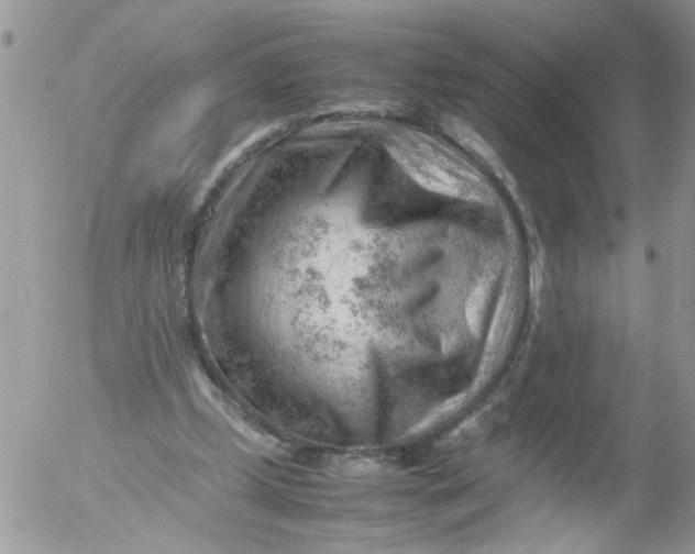 X0000053150249200508012317