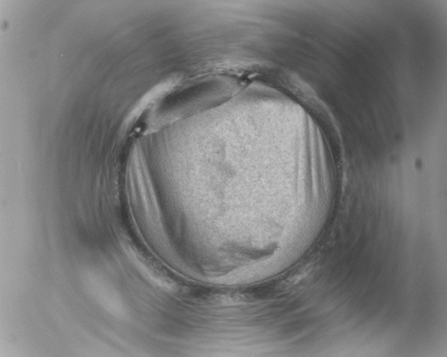 X0000053150250200508012317