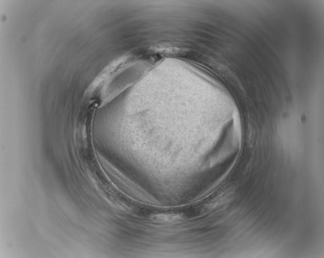 X0000053150251200508012317