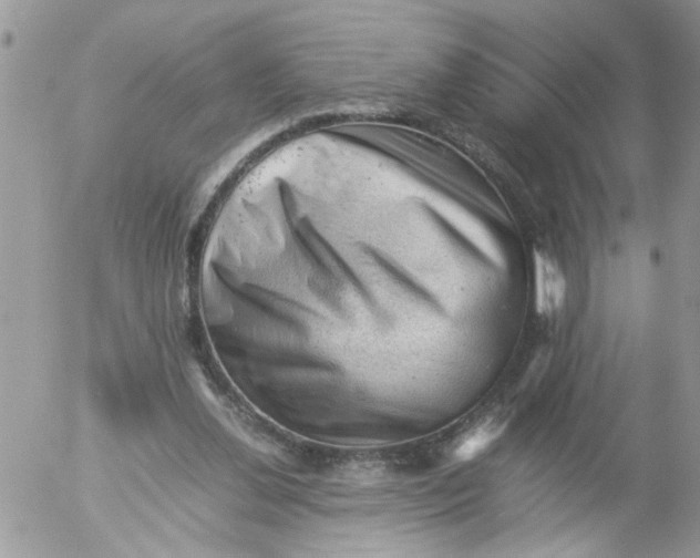 X0000053150252200508012317