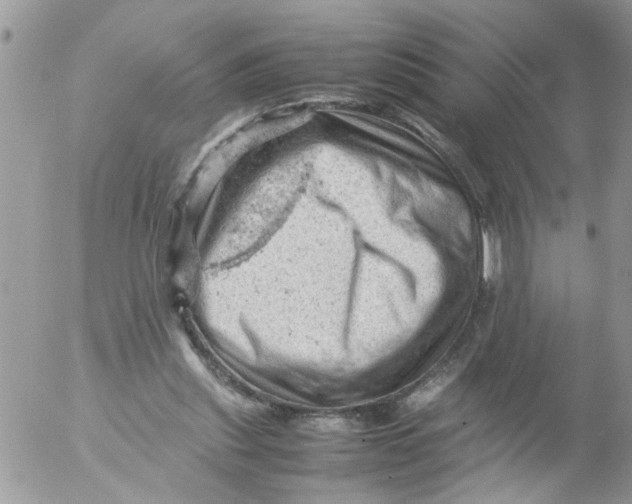 X0000053150253200508012317