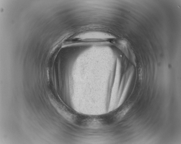 X0000053150254200508012317