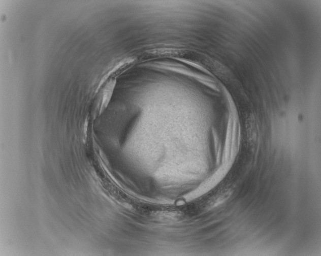 X0000053150255200508012317