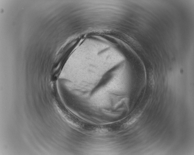 X0000053150256200508012317