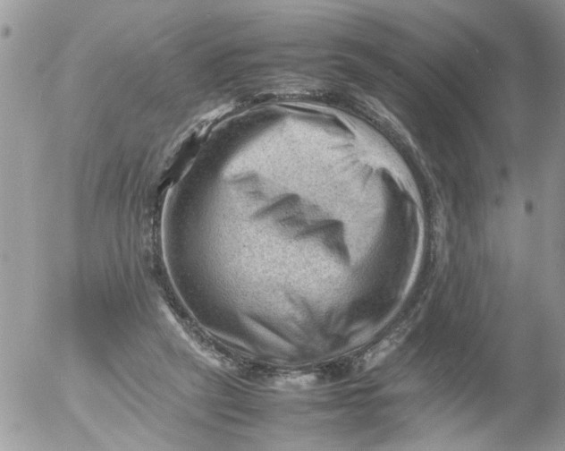 X0000053150257200508012317