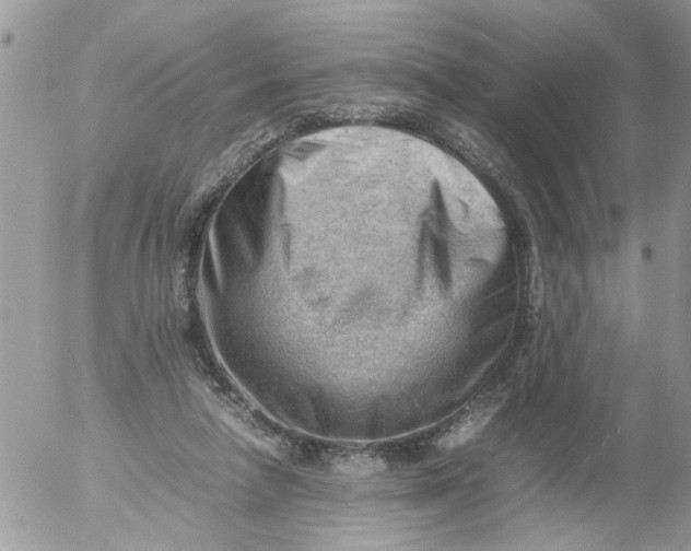 X0000053150258200508012317