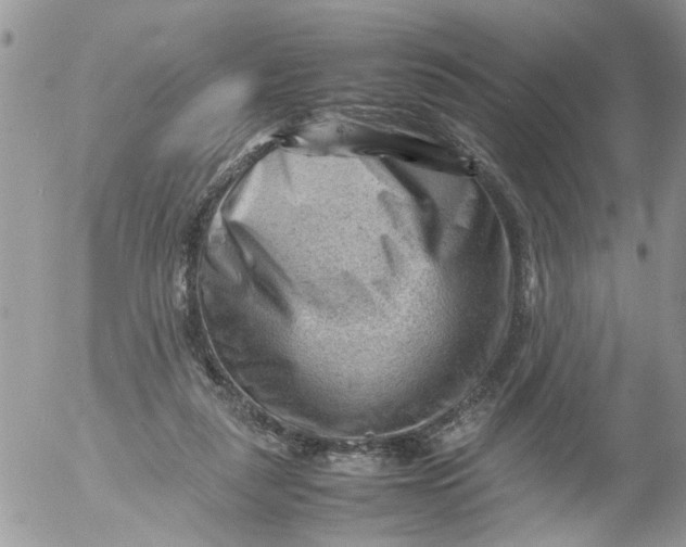 X0000053150259200508012317