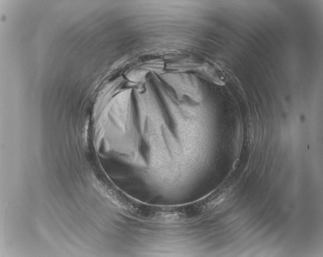 X0000053150260200508012317