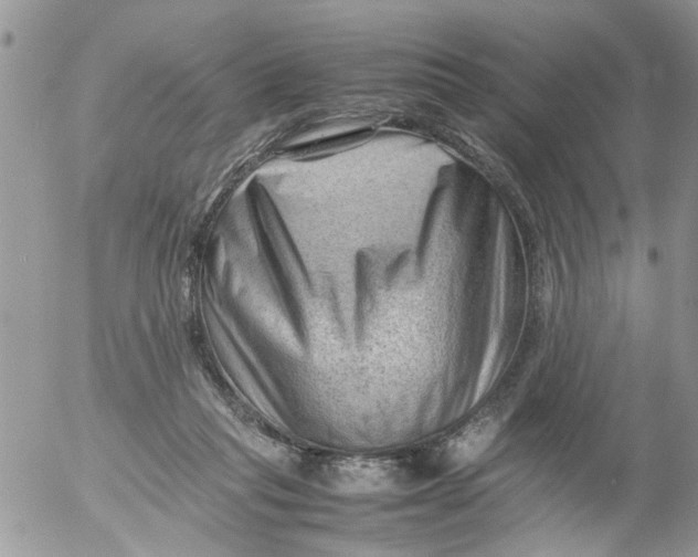 X0000053150261200508012317