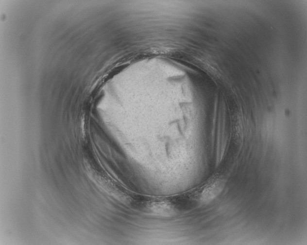 X0000053150262200508012317