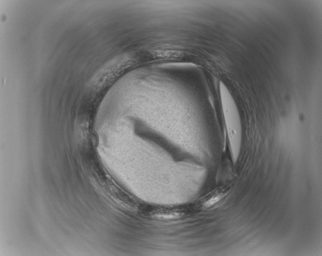 X0000053150263200508012317