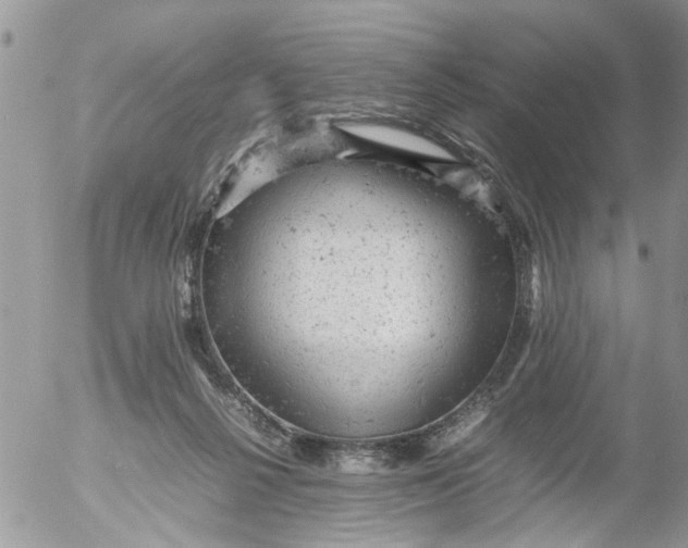 X0000053150264200508012317